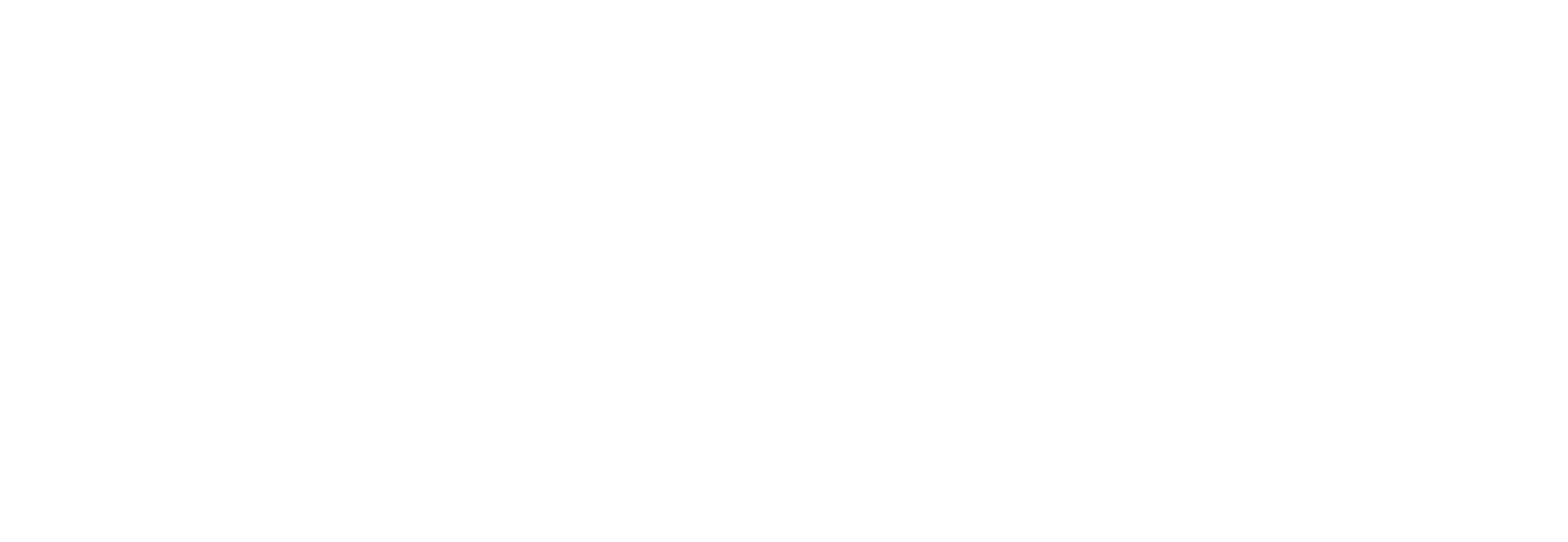 NEC_logo_white-01-1