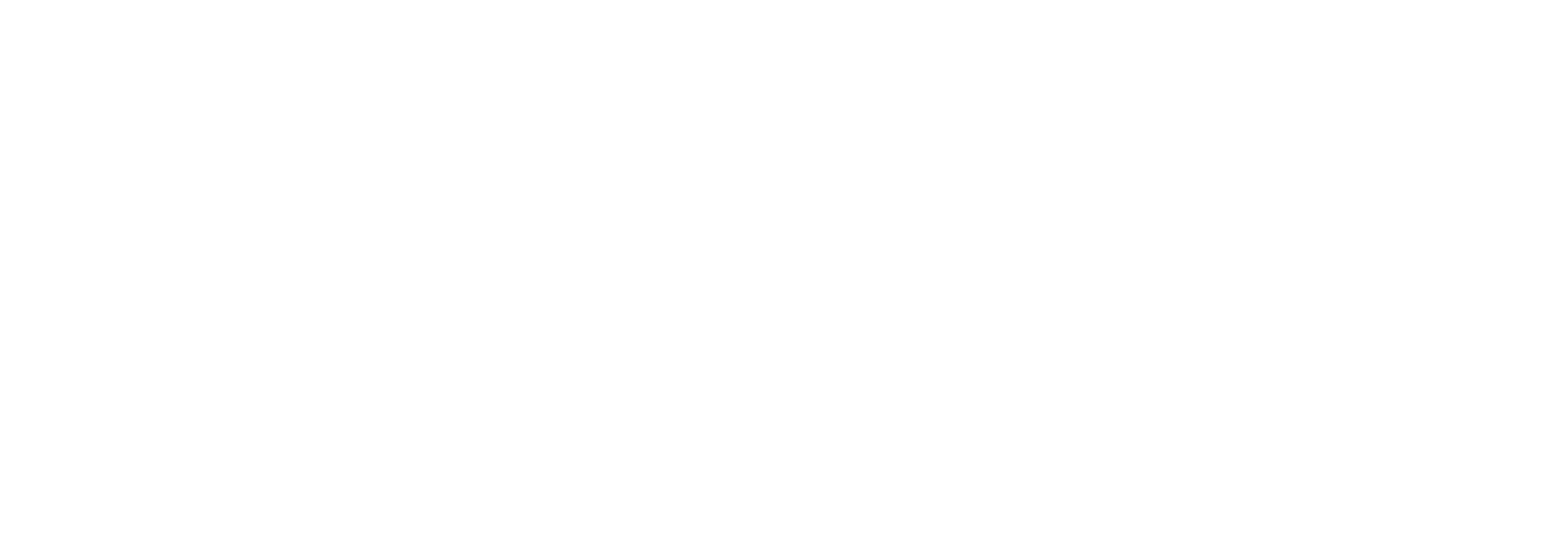 NEC_logo_white-01